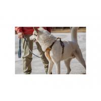 Postroj Hurtta Weekend Warrior okrová