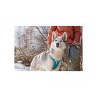 Postroj Hurtta Weekend Warrior paví zeleň