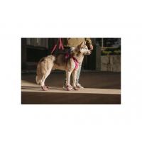 Postroj Hurtta Weekend Warrior rubínová