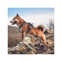 Postroj Hurtta Razzle Dazzle modrý